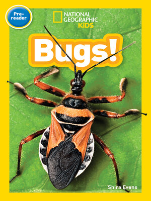 cover image of Bugs! (National Geographic Kids Readers, Pre-Reader)